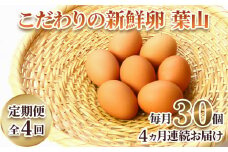 [定期便・全4回] こだわりの新鮮卵葉山 30個×4ヵ月 [2307]