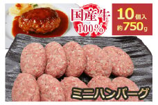 [牛壱] 国産牛100% ミニハンバーグ 75g×10個 [2334]