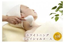 即結果！ホワイトニングフェイシャルコース 6回コース ※女性専用 [受付22時まで]【奈良県香芝市サロンドクイーン】 [2370]