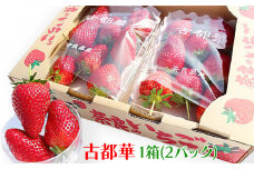 奈良県産ブランドいちご『古都華』約560g×1箱(2パック)｜いちご イチゴ スイーツ フルーツ 果物 奈良県 香芝市 [2822]