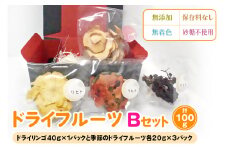 ドライフルーツ Bセット [季節のドライフルーツ20g×3パック＋ドライりんご40g×1パック]｜ドライフルーツ 無添加 無着色 保存料なし 砂糖不使用 [2585]
