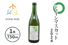 シャインマスカット 2024 (750ml×1本)｜ワイン 果実酒 奈良 香芝 [3005]