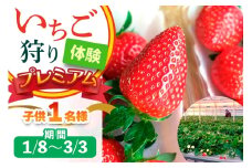 [1月8日から3月3日] いちご狩り体験プレミアム 子供1名様 奈良のブランド (ならあかり・古都華・あすかルビー) ｜イチゴ農園 果物 フルーツ 親子 体験チケット いちご狩り農園 奈良県 [3060]