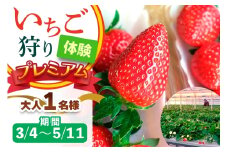 [3月4日から5月11日] いちご狩り体験プレミアム 大人1名様 奈良のブランド (ならあかり・古都華・あすかルビー)｜イチゴ農園 果物 フルーツ 親子 体験チケット いちご狩り農園 奈良県 [3061]