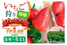 [3月4日から5月11日] いちご狩り体験プレミアム 子供1名様 奈良のブランド (ならあかり・古都華・あすかルビー)｜イチゴ農園 果物 フルーツ 親子 体験チケット いちご狩り農園 奈良県 [3062]
