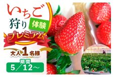 [5月12日以降] いちご狩り体験プレミアム 大人1名様 奈良のブランド (ならあかり・古都華・あすかルビー)｜イチゴ農園 果物 フルーツ 親子 体験チケット いちご狩り農園 奈良県 [3063]
