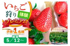 [5月12日以降] いちご狩り体験プレミアム 子供1名様 奈良のブランド (ならあかり・古都華・あすかルビー)｜イチゴ農園 果物 フルーツ 親子 体験チケット いちご狩り農園 奈良県 [3064]