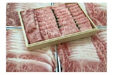 （冷凍）国牛十図の銘牛　大和牛　すき焼き用　700グラム／肉工房　吉蔵　ブランド牛　ロース　肩ロース【yskr004】