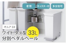 オルア33スリム　タテ型　分別ペダル　ペール　LBD-14／ライクイット　like-it　 オシャレ　ゴミ箱　日本製【like005】