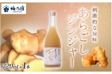 梅乃宿 あらごしジンジャー ７２０ｍｌ ／ ジンジャー リキュール スパイシー 国産 すりおろし しょうが 爽やかな 香り 奈良県 葛城市【umyd016】