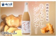 梅乃宿 あらごしジンジャー １８００ｍｌ ／ ジンジャー リキュール スパイシー 国産 すりおろし しょうが 爽やかな 香り 奈良県 葛城市【umyd017】