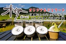 （冷凍） 木伊 オリジナル ジェラート 定番 人気4種8個入 ／ Coco-Make葛城 濃厚ミルク リッチチョコ いちごミルク 甘酒バナナ 農福連携 奈良県 葛城市【coco007】