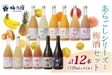 あらごしシリーズと梅酒720ｍl 12本 セット ／ 梅乃宿酒造 お酒 リキュール ギフト 人気 メーカー直送 みっく酒 ゆず みかん れもん もも りんご ジンジャー 奈良県 葛城市【umyd028】