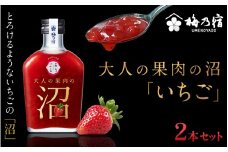 大人の果肉の沼 「いちご」 2本セット ／ 梅乃宿酒造 お酒 リキュール 苺 イチゴ 果実酒 いちご酒 ギフト 人気 お祝い プレゼント 奈良県 葛城市【umyd038】