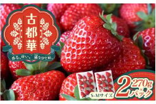 古都華 S～Mサイズ 270g×2パック ／ 西田農園 ブランド いちご 苺 ことか フルーツ 果物 奈良県 葛城市【nsdf001】