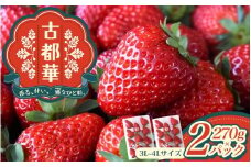 古都華 3L～4Lサイズ 270g×2パック ／ 西田農園 ブランド いちご 苺 ことか フルーツ 果物 奈良県 葛城市【nsdf003】
