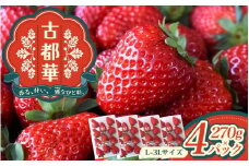 古都華 L～3Lサイズ 270g×4パック ／ 西田農園 ブランド いちご 苺 ことか フルーツ 果物 奈良県 葛城市【nsdf004】