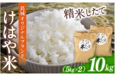 【先行受付】令和7年度産新米 けはや米 精米 10kg(5kg×2袋） ／ 米 お米 白米 新米 精米 ひのひかり ヒノヒカリ 葛城市商工会青年部 奈良県 葛城市【nkss004】