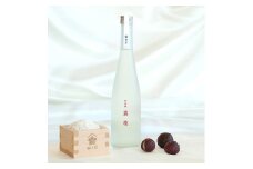 梅乃宿　果本酒　茘枝(ライチ)　５００ｍｌ／ 日本酒 フルーツ 果実 ライチ 新感覚 お酒 純米大吟醸 贈り物 ギフト プレゼント フルーティー 【umyd042】