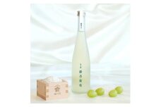 梅乃宿　果本酒　麝香葡萄(マスカット)　５００ｍｌ／ 日本酒 フルーツ 果物 マスカット ぶどう 新感覚 お酒 純米大吟醸 贈り物 ギフト プレゼント フルーティー 【umyd043】