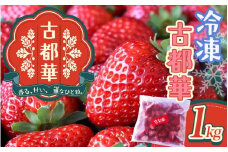 古都華　冷凍いちご　1kg ／ 西田農園 ブランド いちご 苺 ことか フルーツ 果物 奈良県 葛城市【nsdf005】