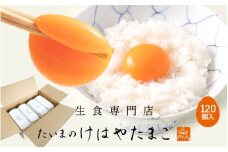 たいまのけはやたまご　120個入り　／たまご　生卵　奈良県　葛城市【tegg005】