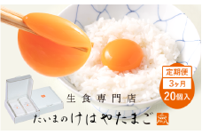 たいまのけはやたまご　20個入　3ヶ月定期便　／　定期便　たまご　生卵　奈良県　葛城市【tegg-tkb001】