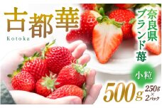 ブランド苺 新鮮 古都華 (小粒) 約500g [250g×2パック] 【2026年1月上旬～5月下旬に順次発送】／ スマイル葛城農業 ブランド いちご 苺 ことか イチゴ スイーツ フルーツ 甘い 果物 奈良県 葛城市【smlk006】
