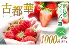 ブランド苺 新鮮 古都華 (小粒) 約1000g [250g×4パック] 【2026年1月上旬～5月下旬に順次発送】／ スマイル葛城農業 ブランド いちご 苺 ことか イチゴ スイーツ フルーツ 甘い 果物 奈良県 葛城市【smlk007】