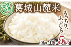先行予約 葛城山麓米 ヒノヒカリ（白米）計5kg [ 5kg×1袋 ] 令和7年産 【2025年10月下旬～順次発送】／ スマイル葛城農業 精米 ごはん お米 米 おいしい ふっくら 農家直送 奈良県 葛城市【smlk012】