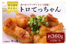 (冷凍)　国産　黒毛和牛　味付　トロてっちゃん　120g×3パック／うし源本店 ホルモン バーベキュー キャンプ アウトドア 父の日 奈良県 宇陀市  お中元 贈答用 贈り物 暑中見舞い お土産 ふるさと納税 味付き 内祝い 小分け 盛り合わせ まとめ買い すき焼き 焼肉 美味しい部位 キャンプ 送料無料 正月