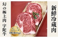 名産 認定肉 宇陀牛 特選 ロース 厚切 ステーキ 2枚 1kg 国産 黒毛和牛 チルド / 山繁 ふるさと納税 牛肉 人気 BBQ キャンプ 寄付 ランキング おすすめ グルメ 肉 返礼品 送料無料