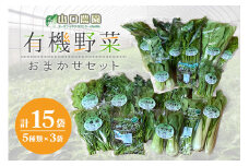 （チルド）　山口農園　有機野菜　おまかせセット ／山口農園 有機野菜 伝統野菜 オーガニック ベジタリアン 無農薬 野菜セット 送料無料 無農薬 農家直送 ふるさと納税 詰め合わせ 奈良県 宇陀市 ふるさと納税