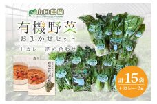 （チルド）山口農園　有機野菜　おまかせセット ＋ カレー２箱　詰合せ / 山口農園 有機野菜 伝統野菜 オーガニック ベジタリアン 定期便 カレー 無農薬 野菜セット 送料無料 無農薬 農家直送 ふるさと納税 詰め合わせ 奈良県 宇陀市 ふるさと納税
