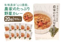 農家のたっぷり野菜カレー　２０個／山口農園 有機野菜 オーガニック 伝統野菜 レトルト 詰め合わせ カレー ギフト カレーセット スパイス 飯 キャンプお取り寄せ 奈良県 宇陀市 送料無料 おかず ご当地  簡単 お歳暮 暑中見舞い  保存 時短 国産 保存食 ふるさと納税