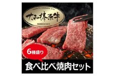 (冷凍)　大和榛原牛　焼肉　6種盛り／うし源本店 黒毛和牛 A5 キャンプ ロース カルビ モモ ミスジ ウデ イチボ 父の日 奈良県 宇陀市 お中元 贈答用 贈り物 暑中見舞い お土産 ふるさと納税  内祝い 小分け  盛り合わせ まとめ買い  焼肉 美味しい部位 キャンプ 送料無料 正月