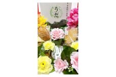 大和当帰　焼菓子　セット　中／エクステ　フィナンシェ　クッキー　お茶　プレゼント　お土産　お取り寄せ　奈良県　宇陀市 敬老の日 シルバーウィーク ハロウィン 中秋の名月（月見）運動会 