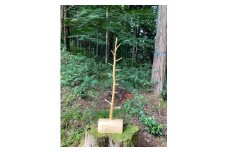 自然木のやさしさを　元祖　宇陀木　トンガリ　小物掛け（B22_8-1）／カラビナ企画　一点物　ヒノキ　檜　スタンド　インテリア　家具　奈良県　宇陀市