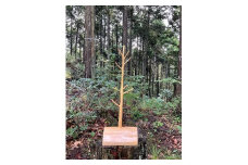 自然木のやさしさを　元祖　宇陀木　トンガリ　小物掛け（B22_8-2）／カラビナ企画　一点物　ヒノキ　檜　スタンド　インテリア　家具　奈良県　宇陀市