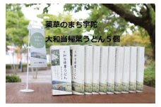 薬草のまち宇陀　大和当帰葉うどん 5個／薬草　大和当帰葉　うどん　２食分　５個　奈良県　宇陀市