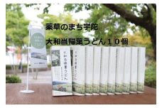 薬草のまち宇陀　大和当帰葉うどん 10個／薬草　大和当帰葉　うどん　２食分　10個　奈良県　宇陀市