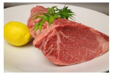 (冷蔵)　大和榛原牛　フィレ　1本　ブロック　3.5kg／うし源本店 お取り寄せグルメ パーティー 黒毛和牛 A5 ステーキ 父の日 奈良県 宇陀市 お中元 贈答用 贈り物 暑中見舞い お土産 ふるさと納税 ステーキ 内祝い ブロック牛肉 盛り合わせ まとめ買い 切り落とし 焼肉 美味しい部位 キャンプ 送料無料 正月