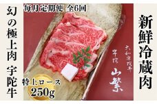 【毎月定期便全6回】 名産 認定肉 宇陀牛 国産 黒毛和牛 特上 ロース すき焼き 約250g / 山繁 ふるさと納税 牛肉 牛丼 しゃぶしゃぶ人気 寄付 ランキング おすすめ グルメ 肉 返礼品 送料無料
