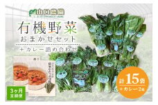 定期便 ３ヶ月 山口農園 有機野菜 おまかせセット＋カレー２箱 詰合せ 冷蔵 月１回 ／山口農園 有機野菜 伝統野菜 オーガニック ベジタリアン 定期便 カレー 無農薬 野菜セット 送料無料 無農薬 農家直送 ふるさと納税 詰め合わせ 奈良県 宇陀市 ふるさと納税