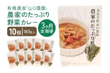 定期便 ３ヶ月 農家のたっぷり野菜カレー １０個 月１回 ／ 山口農園 有機野菜 オーガニック 伝統野菜 レトルト 詰め合わせ ギフト カレーセット スパイス 飯 キャンプお取り寄せ 奈良県 宇陀市 送料無料 おかず ご当地 簡単 お歳暮 暑中見舞い 時短 保存食 ふるさと納税