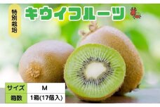 ＜12月以降順次発送＞プレミアム キウイ フルーツ Mサイズ 17個入 追熟処理済 ／ ふるさと納税 キウイ キウイフルーツ ギフト 栄養 果物 お土産 化学肥料不使用 特別栽培 塩 奈良県 宇陀市 やまとファームJAPAN