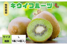 ＜12月以降順次発送＞プレミアム キウイ フルーツ Lサイズ 14個入 追熟処理済 ／ ふるさと納税 キウイ キウイフルーツ ギフト 栄養 果物 お土産 化学肥料不使用 特別栽培 塩 奈良県 宇陀市 やまとファームJAPAN