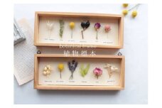 植物標本 ボタニカルフレーム フローリスト お任せ♪ ／ HANARA ナチュラル 自然 花 ギフト 母の日 女性 奈良県 宇陀市 宇陀市 敬老の日 シルバーウィーク ハロウィン 誕生日 お祝い 敬老の日 感謝 結婚祝い 還暦 プロポーズ お供え 花ケース入り ふるさと納税