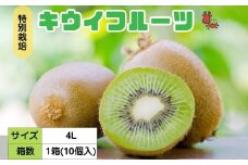 ＜12月以降順次発送＞プレミアム キウイ フルーツ 4Lサイズ 10個入 追熟処理済 ／ ふるさと納税 キウイ キウイフルーツ ギフト 栄養 果物 お土産 化学肥料不使用 特別栽培 塩 奈良県 宇陀市 やまとファームJAPAN