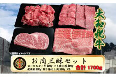 (冷凍) 大和牝牛 お肉 三昧 セット 1700g YMLS5 ／ 太田家 焼肉 バーベキュー キャンプ アウトドア 贈答 お中元 お歳暮 父の日 奈良県 宇陀市 お中元 贈答用 贈り物 暑中見舞い お土産 お歳暮 内祝い 美味しい部位 送料無料 ふるさと納税